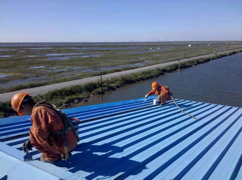 宣城彩钢瓦屋面防腐翻新